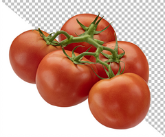 tomate ramo isolado em branco fundo psd