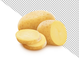 Potato isolated on white background with clipping path psd