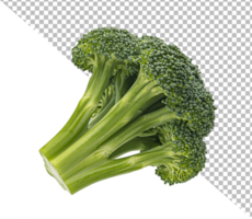 broccoli isolato su sfondo bianco psd