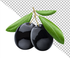 Black olives on branch with leaves isolated on white background psd