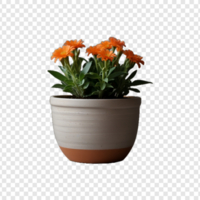 trädgårdsarbete blomma växt pott på transparent bakgrund psd