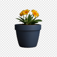 Gardening flower Plant pot on Transparent Background psd