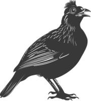 silhouette quail animal black color only full body vector