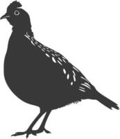silhouette quail animal black color only full body vector