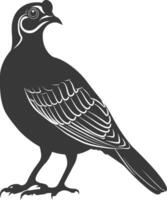 silhouette quail animal black color only full body vector