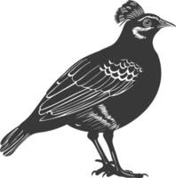 silhouette quail animal black color only full body vector