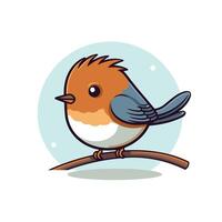 Cute cartoon robin bird on a branch. illustration. vector
