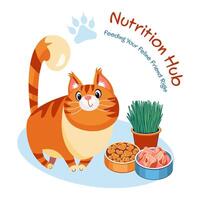 nutrición cubo gato página web vector