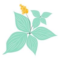 Abstract orange flower with large leaves in flat design. Blooming plant. illustration isolated. vector