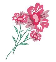 Abstract dahlia flowers in flat design. Blooming rose branches bouquet. illustration isolated. vector