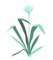 Abstract blue strelitzia in flat design. Tropical flower with green leaves. illustration isolated. vector