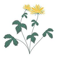 resumen amarillo flores silvestres en plano diseño. floreciente flores con hojas. ilustración aislado. vector