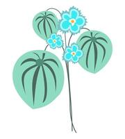 Abstract blue daisy with big leaves in flat design. Blooming bouquet. illustration isolated. vector