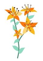 Abstract orange lily branch in flat design. Blooming flowers with leaves. illustration isolated. vector