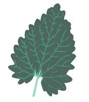 Abstract green leaf with veins in flat design. Seasonal forest tree leafage. illustration isolated. vector