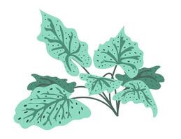 resumen verde hojas arbusto en plano diseño. grande tropical follaje rama. ilustración aislado. vector