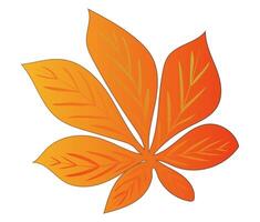 Autumn orange chestnut leaf in flat design. Bright fall herbarium foliage. illustration isolated. vector