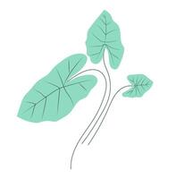 resumen grande verde taro hojas en plano diseño. tropical árbol capa. ilustración aislado. vector