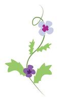 Abstract blooming bindweed in flat design. Purple wildflower with leaves. illustration isolated. vector