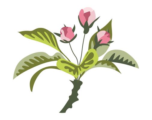 Abstract flower buds on branch in flat design. Beautiful pink rose bouquet. illustration isolated.