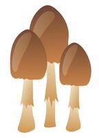 Brown mushrooms in grass in flat design. Wild forest fungus with caps. illustration isolated. vector