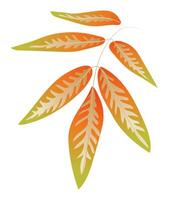 Autumn branch with textured pattern leaves in flat design. Fall foliage. illustration isolated. vector