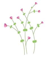 Pink wildflower in flat design. Blooming delicate springtime flower. illustration isolated. vector