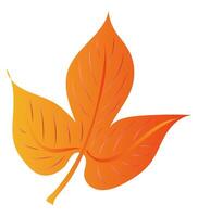 Autumn orange maple leaf in flat design. Decorative foliage with veins. illustration isolated. vector