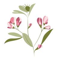 Abstract pink pea flower on twig in flat design. Blooming plant branch. illustration isolated. vector