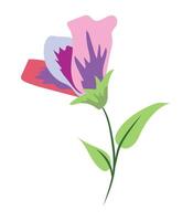 Purple flower on twig in flat design. Lily blossom with green leaves. illustration isolated. vector