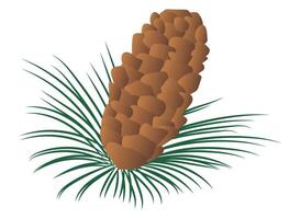 marrón pino cono con abeto en plano diseño. decorativo conífera piña. ilustración aislado. vector