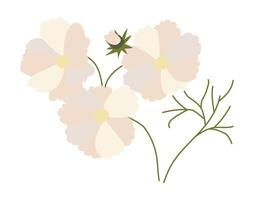 Abstract white daisies on twigs in flat design. Soft blooming blossoms. illustration isolated. vector