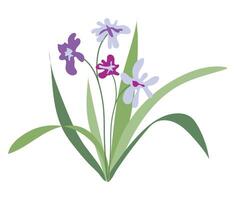 resumen púrpura flores silvestres en plano diseño. verano floreciente iris flores ilustración aislado. vector