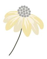 Abstract beige daisy in flat design. Echinacea blossom head on twig. illustration isolated. vector