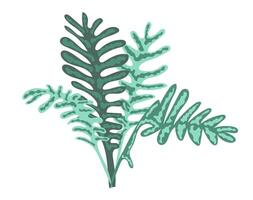 Abstract fern plant in flat design. Greenery foliage, wild forest bush. illustration isolated. vector