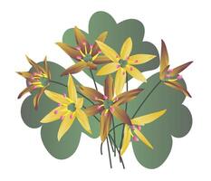 Abstract yellow lily flowers in bush in flat design. Blooming blossoms. illustration isolated. vector