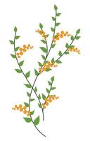 Orange berries on green branch in flat design. Abstract buckthorn twigs. illustration isolated. vector