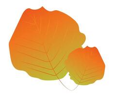 Autumn rounded leaves in flat design. Orange and green foliage twigs. illustration isolated. vector