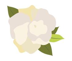Abstract white petals rose with leaves in flat design. Peony blossom head. illustration isolated. vector