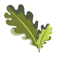 Green oak leaves in flat design. Decorative forest herbarium bouquet. illustration isolated. vector