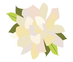 Abstract white peony with leaves in flat design. Rose blossom head. illustration isolated. vector