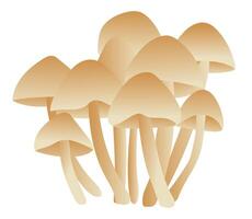 Autumn poisonous mushrooms in flat design. Wild forest inedible fungus. illustration isolated. vector