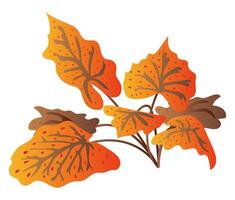 Orange and brown big leaves on bush in flat design. Autumn shrub foliage. illustration isolated. vector