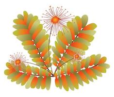 otoño hojas y seco flores en plano diseño. resumen otoño arbusto follaje. ilustración aislado. vector