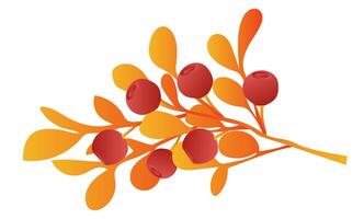 Red berry twigs with orange leaves in flat design. Fall cranberry branch. illustration isolated. vector