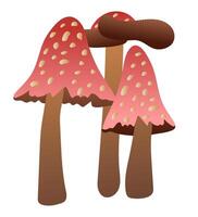 Fly agaric mushrooms in flat design. Autumn forest poisonous fungus. illustration isolated. vector