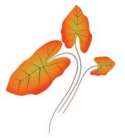 Orange leaves with twigs in flat design. Decorative bright foliage. illustration isolated. vector