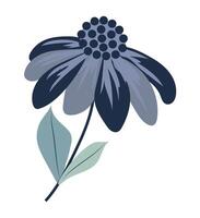 Abstract daisy with blue petals in flat design. Blossom echinacea with leaves. illustration isolated. vector