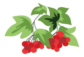 Viburnum branch with leaves in flat design. Red berries on green twig. illustration isolated. vector