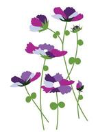 Purple cosmos flowers on branch in flat design. Abstract field blossoms. illustration isolated. vector